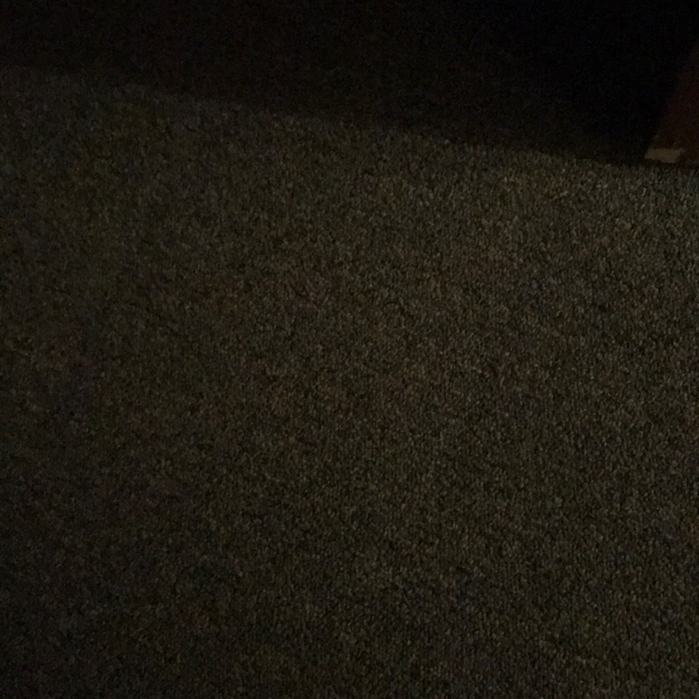 Meet your Posher, Sana